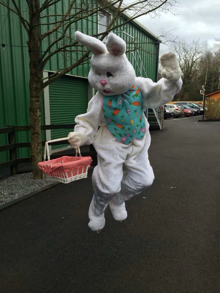 Easter bunny jumping