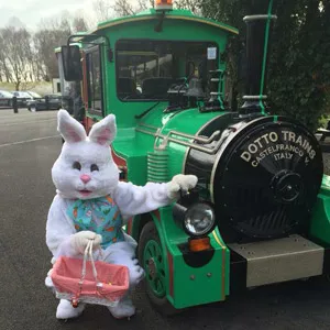 bunny with train