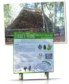 Foran’s Wood – Discovery Science Trial