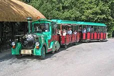 Lullymore Road Train