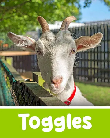 Toggles the Goat at Lullymore