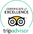 trip advisor logo colour